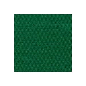 CARVER 510AL15 GREEN ACRYLIC PONTOON TOP WITH LIGHT CUT-OUT - FITS PONTOON FRAME - BOOT INCLUDED